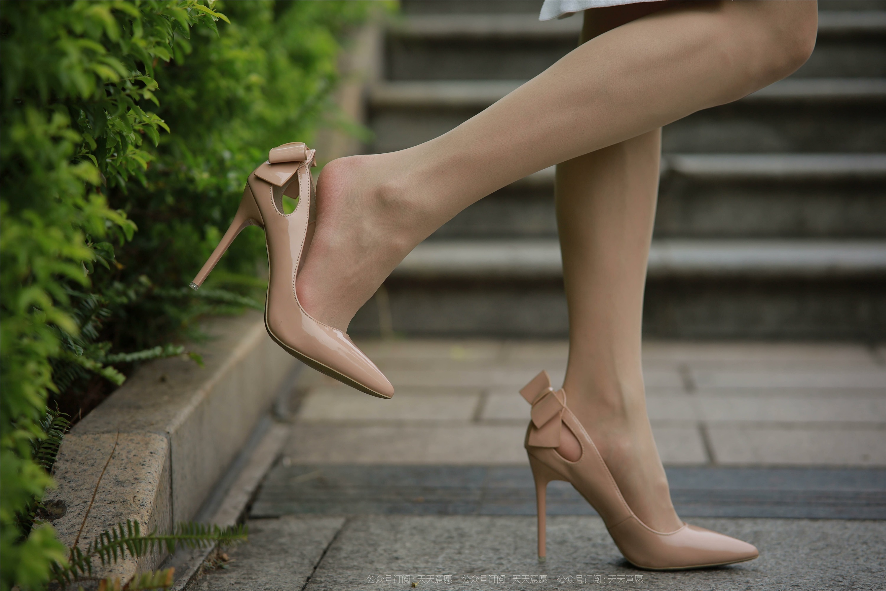 IESS异思趣向 2021.11.11 丝享家971：小六《城市丽人》